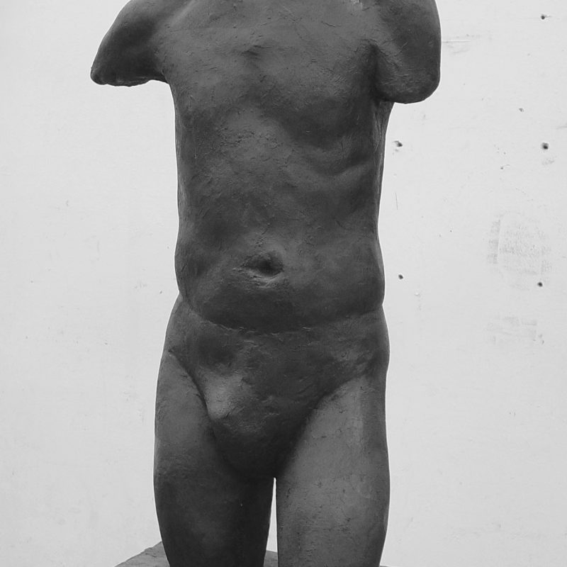 torso