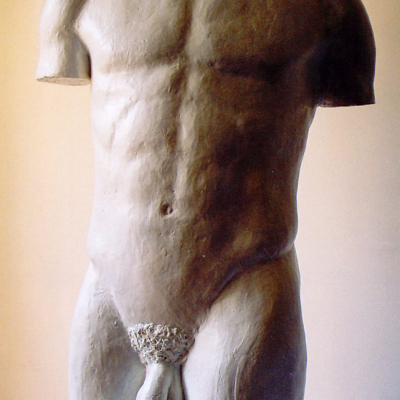 torso