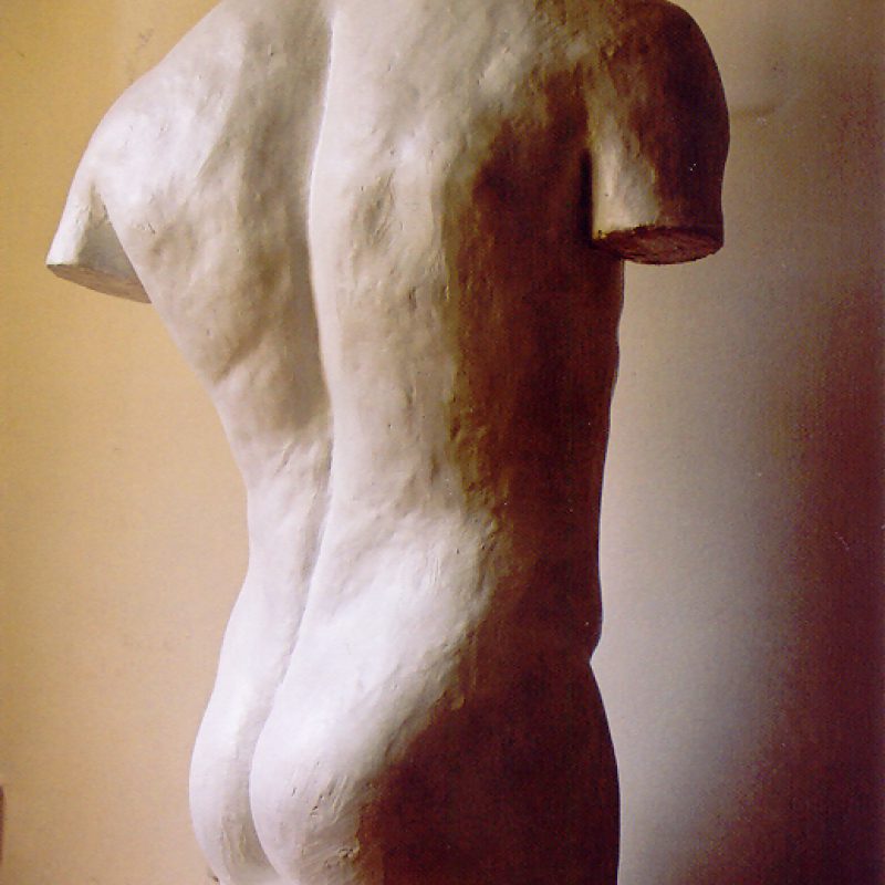 torso